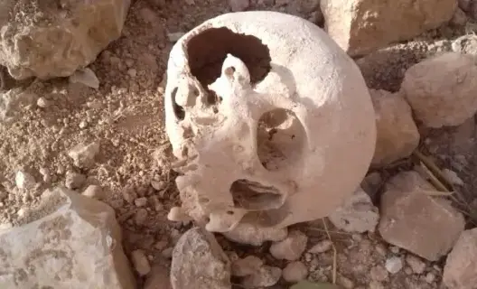جمجمة بشرية تستنفر درك بني عياط بأزيلال