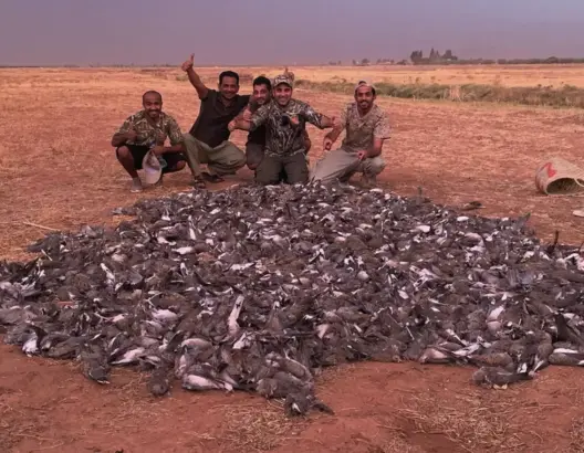 هذه نتائج التحقيق في “مجزرة الصيد” التي ارتكبها خليجيون بالحوز