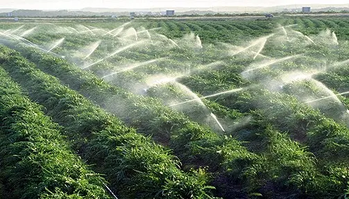 مركز أمريكي: طموحات المغرب الأخضر تصطدم بواقع أزمة المياه والجفاف المهيكل