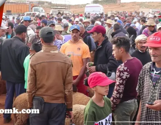 كسابة يعبرون عن قلقهم من انخفاض أسعار الأضاحي هذه السنة (فيديو)