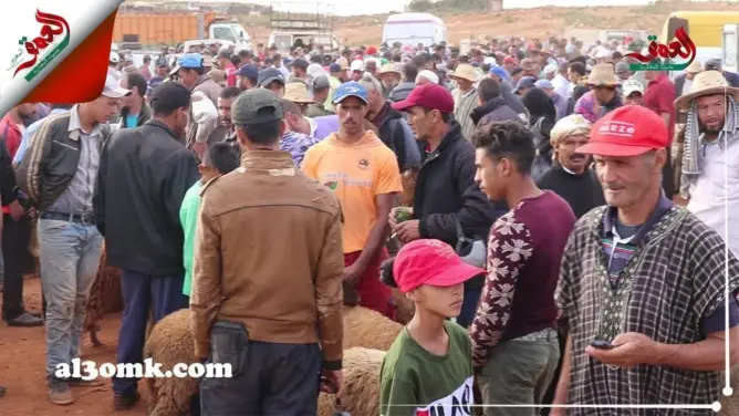 كسابة يعبرون عن قلقهم من انخفاض أسعار الأضاحي هذه السنة (فيديو)
