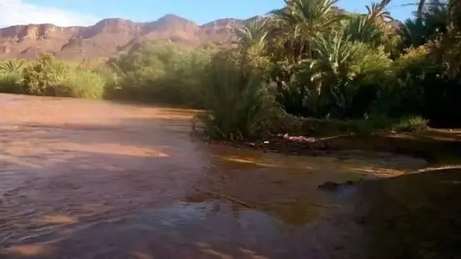 بعد فاجعة تارودانت.. تحذيرات للرحل بالجنوب الشرقي من وادي درعة (صور)