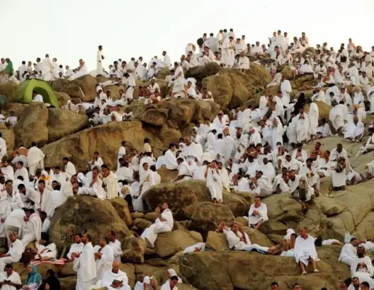 وفق إجراءات وقائية.. حجاج بيت الله الحرام على صعيد عرفة لتأدية الركن الأعظم