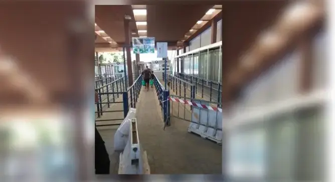 حزب الشعب ينتقد صمت الحكومة الإسبانية أمام إغلاق معبر مليلية المحتلة