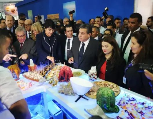 تقرير جطو يشيد بالأثر الملحوظ لمخطط “أليوتيس” على الصيد البحري