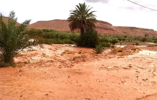 استنفار بورزازات للبحث عن فلاح جرفته سيول الفيضانات منذ 5 أيام