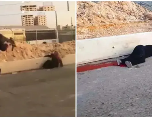 أعدمها الاحتلال بدم بارد.. حملة عالمية لنصرة “مريم” ودعم نساء القدس (فيديو)