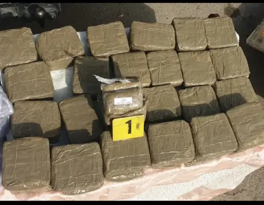 الناظور.. توقيف شخصين بحوزتهما 49 كلغ من الحشيش
