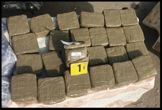 الناظور.. توقيف شخصين بحوزتهما 49 كلغ من الحشيش