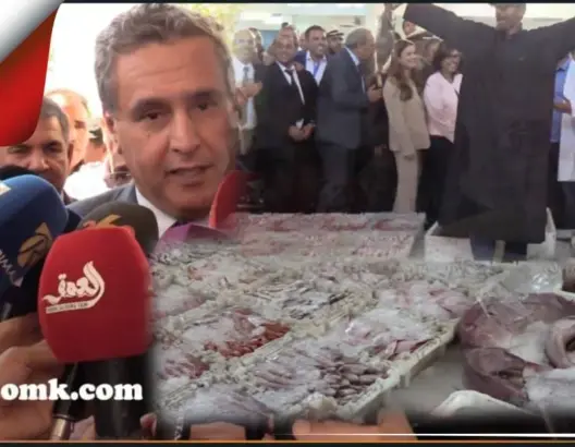 أخنوش: من حق المغاربة استهلاك الأسماك الطرية بأثمنة مناسبة (فيديو)