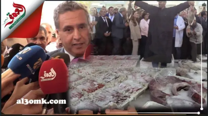 أخنوش: من حق المغاربة استهلاك الأسماك الطرية بأثمنة مناسبة (فيديو)