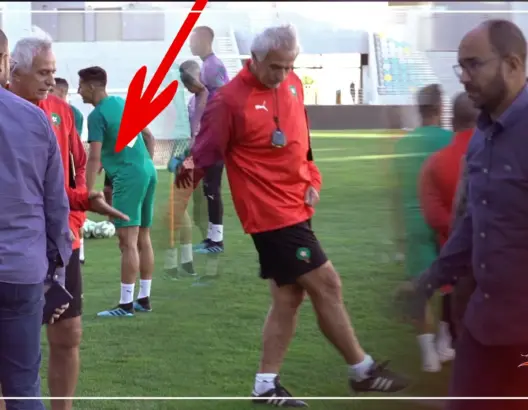 قبل مباراة الغابون.. المدرب حاليلوزيتش غاضب