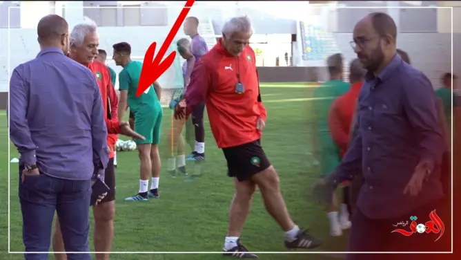 قبل مباراة الغابون.. المدرب حاليلوزيتش غاضب