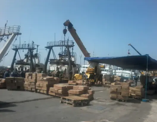 البحث عن 20 تقنيا للعمل بميناء طنجة