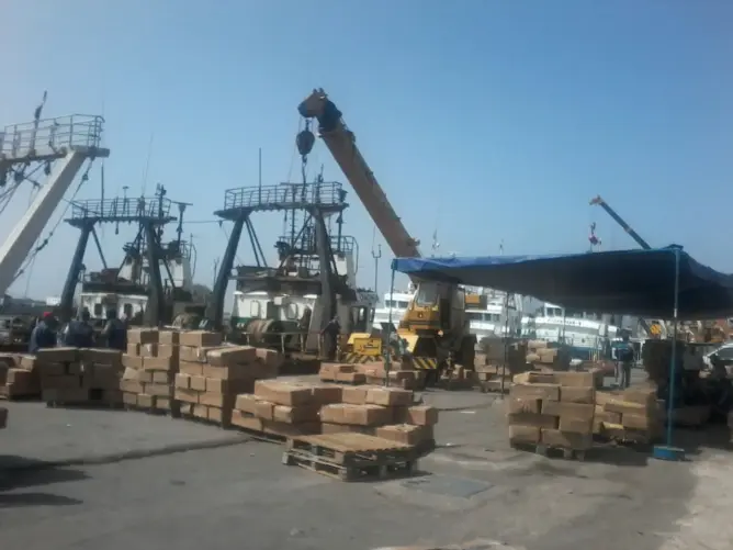 البحث عن 20 تقنيا للعمل بميناء طنجة