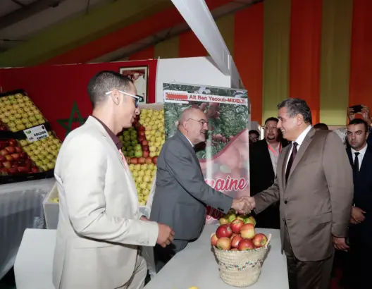 أخنوش: الفلاح متضرر من بيع التفاح بأقل من قيمته.. وسندعم التخزين