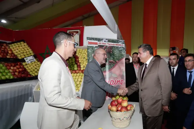 أخنوش: الفلاح متضرر من بيع التفاح بأقل من قيمته.. وسندعم التخزين