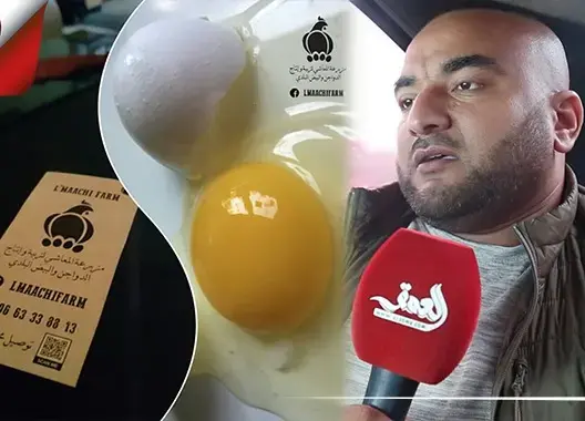 طارق.. شاب يطلق مشروعا لتوزيع البيض “البلدي” على بيوت البيضاويين (فيديو)