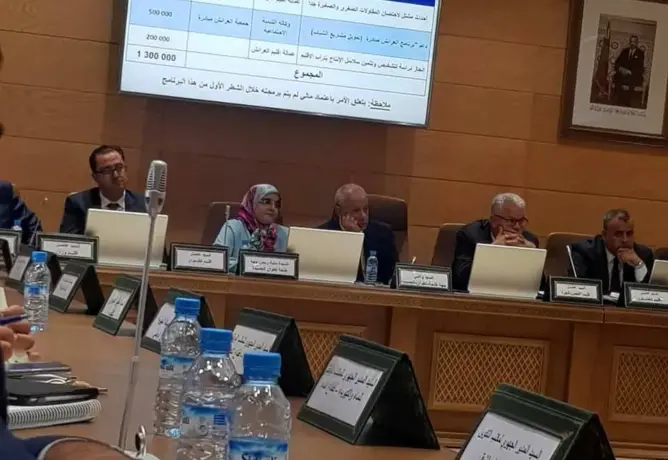 فخري تنوب عن العماري في لقاء رسمي .. والغموض يلف “دورة أكتوبر”