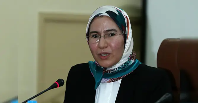 الوفي تدعو لمحاربة السوداوية بالنموذج التنموي وتكشف جهود وزارتها للجالية