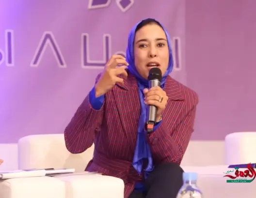 ماء العينين: “اللجنة المؤقتة” إجراء غير ديمقراطي ومجلس الصحافة يتعرض للقرصنة