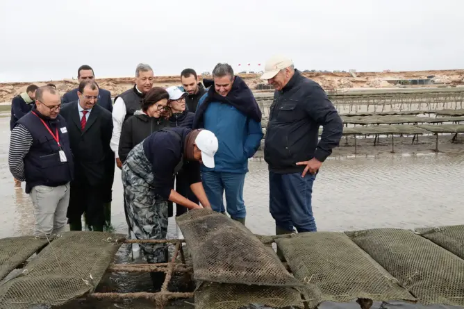 مع دعمها ماليًا .. أخنوش يفتتح مشاريع تخص الصيد البحري بالداخلة (فيديو)