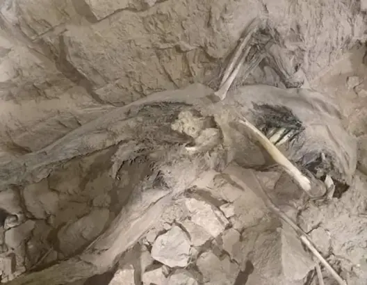 العثور على جماجم وهيكل عظمي مكبل اليدين في مغارة قرب تارودانت (فيديو)