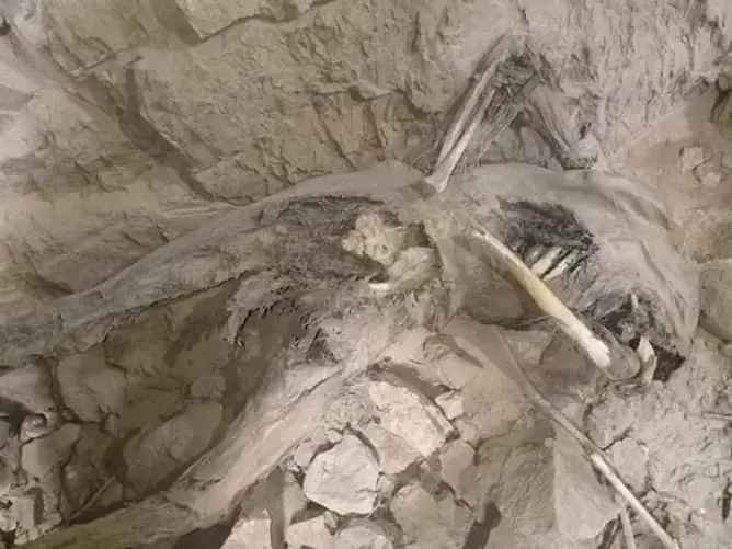 العثور على جماجم وهيكل عظمي مكبل اليدين في مغارة قرب تارودانت (فيديو)