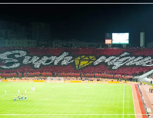 تيفو خيالي للجماهير الودادية أمام صن داونز (فيديو)