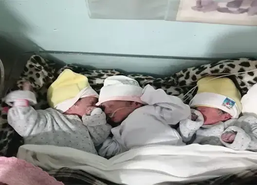 بفضل مجهودات فريق طبي..أُمٌّ بمشفى بالحاجب تضع 3 توائم(صورة)