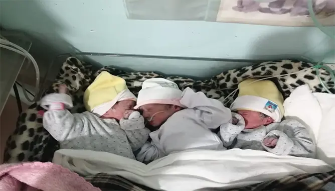 بفضل مجهودات فريق طبي..أُمٌّ بمشفى بالحاجب تضع 3 توائم(صورة)