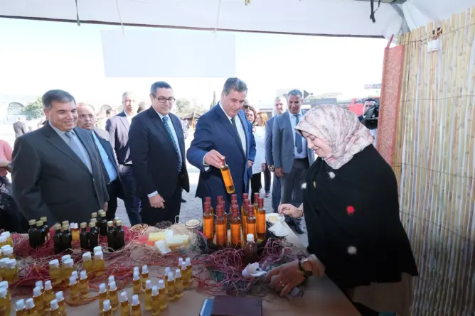 “اتفاقية أكادير”.. عرض جديد من وزارة الفلاحة لتطوير إنتاج زيت الأركان بالمغرب