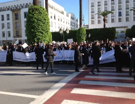 تزامنا مع التصويت.. محامون وحقوقيون يحتجون ضد تحصين أملاك الدولة