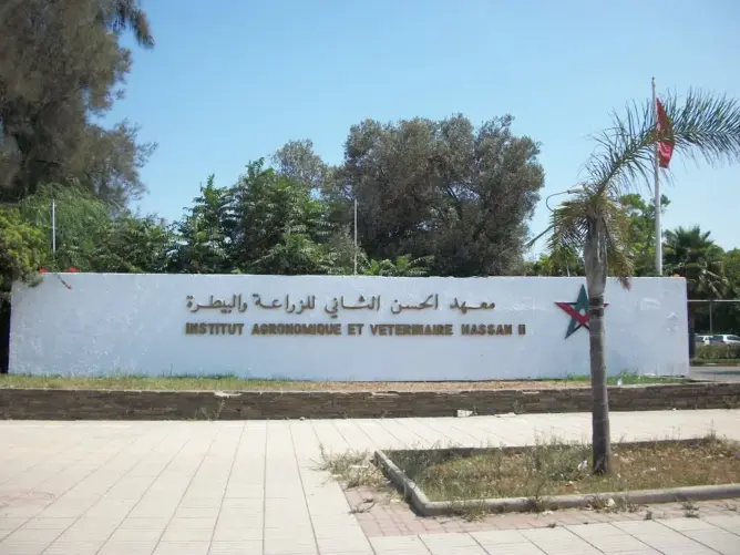 ابتداء من الغد.. إضراب عام بمعهد الزراعة والبيطرة بالرباط