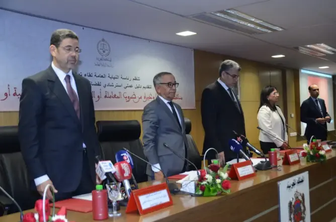 الإعلان عن دليل استرشادي لقضاة النيابة العامة لمناهضة التعذيب