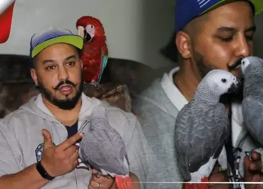 مصعب.. مغربي استطاع تربية أزيد من 200 نوع من الطيور ويعلم الببغاء الحديث كالبشر (فيديو)