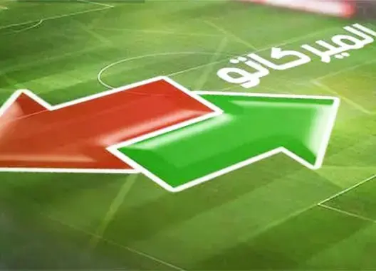 محلل رياضي: جلب عدد كبير من اللاعبين خطر على الفرق