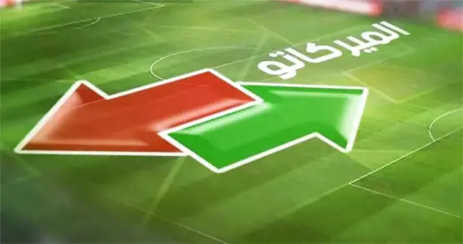 محلل رياضي: جلب عدد كبير من اللاعبين خطر على الفرق