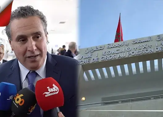 العاشر من نوعه بالمغرب.. أخنوش يفتتح سوق السمك بالجملة بتطوان بمعايير دولية (فيديو)
