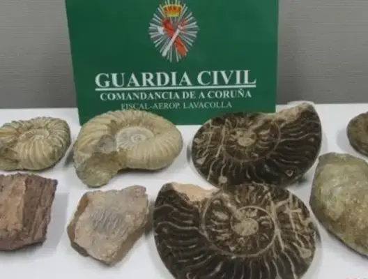 السلطات الإسبانية تحجز حفريات أثرية مهربة من المغرب