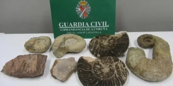 السلطات الإسبانية تحجز حفريات أثرية مهربة من المغرب