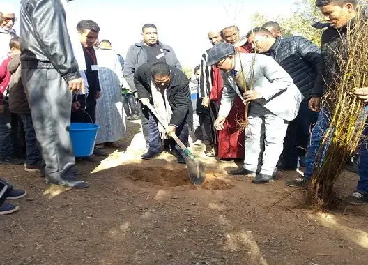 شُبان يغرسون ألف شجرة رُمان لإحياء اسم قريتهم نواحي زاكورة (صور)