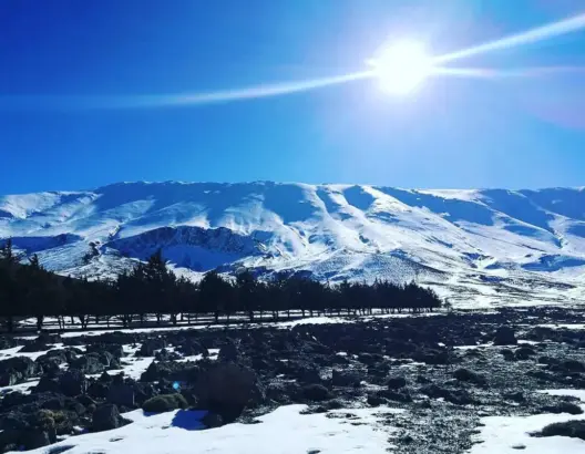 نشطاء يقدمون عريضة لمجلس جهة فاس لرفع التهميش عن جبل بويبلان (صور)