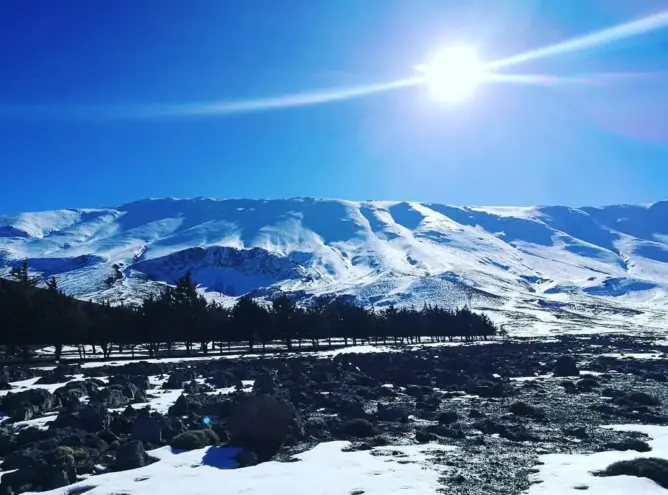 نشطاء يقدمون عريضة لمجلس جهة فاس لرفع التهميش عن جبل بويبلان (صور)