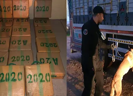 حجز 520 كيلوغراما من مخدر الشير واعتقال شخصين بفاس