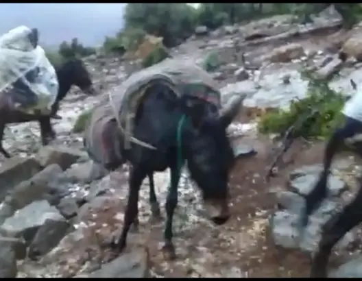 المسالك الجبلية الوعرة تفاقم معاناة ساكنة “إغرضان” بإقليم بني ملال