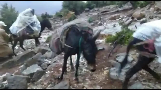 المسالك الجبلية الوعرة تفاقم معاناة ساكنة “إغرضان” بإقليم بني ملال