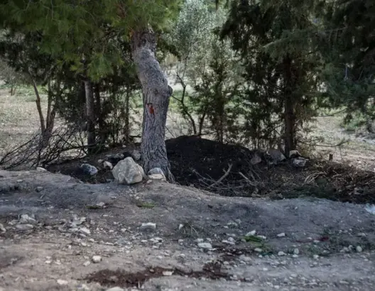 اتهامات لمجهولين بتحويل غابة بطنجة لتجزئات عشوائية.. ومطالب بالتدخل