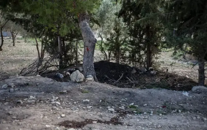 اتهامات لمجهولين بتحويل غابة بطنجة لتجزئات عشوائية.. ومطالب بالتدخل