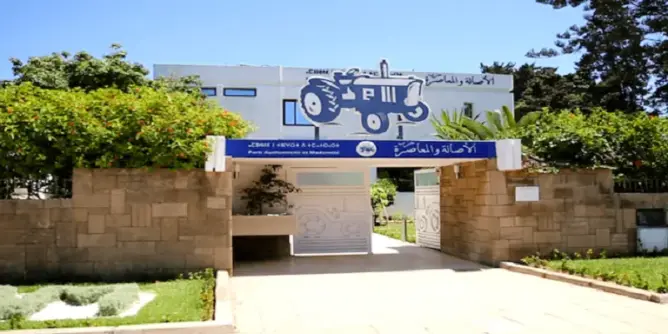 البام: صناعات النسيج والصناعات التحويلية خارج أجندة الحكومة في زمن كورونا